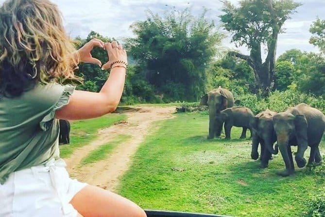 03 Days Highlights Of Sigiriya, Kandy, Nuwara Eliya , Ella & Udawalawe - FAQ