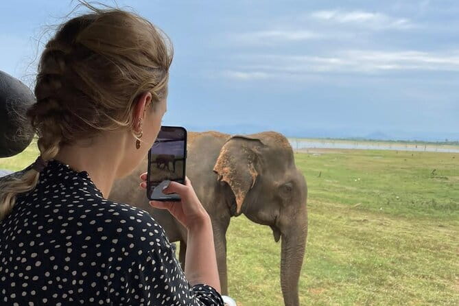 04 Hours Safari Jeep Tours - What the four-hour Udawalawe safari is really like