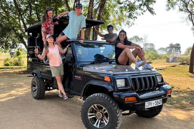 04 Hours Safari Jeep Tours - Photography and the value of a private group