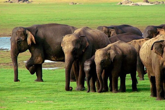 04 Hours Safari Jeep Tours - Cancellation, weather, and practical booking terms