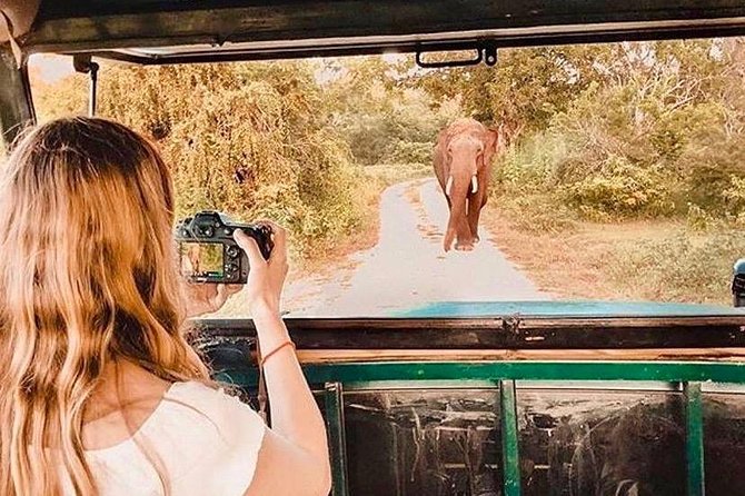 08 - Day Classic Tour with English speaking drive and Private luxury vehicles - What this Sri Lanka route does well