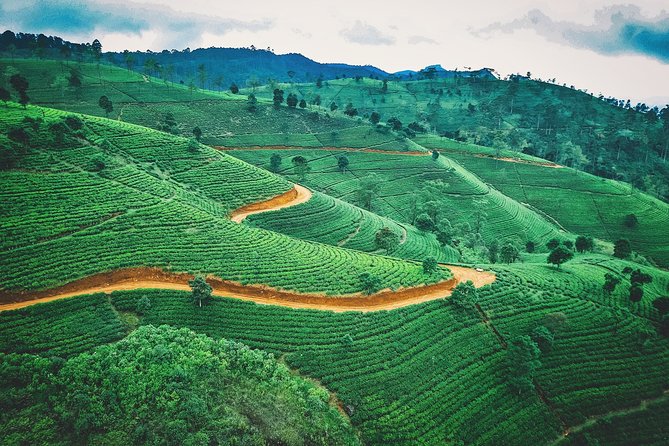 08 Days private round trip in Sri Lanka - Day 2: Sigiriya’s rock and Dambulla’s painted caves