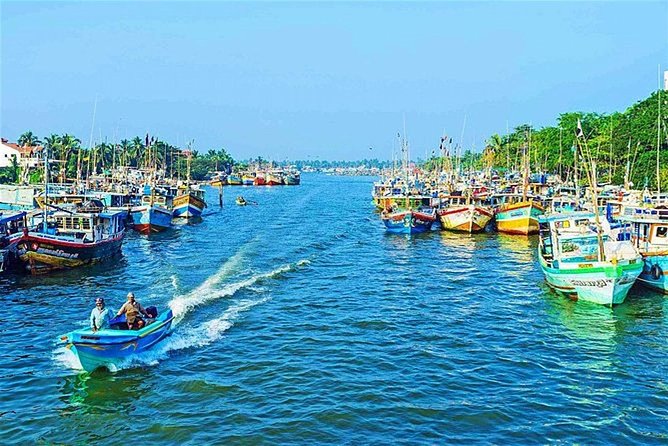 08 Nights in Magical Sri Lanka - Day 2: Fish, Canals, and Village Cooking