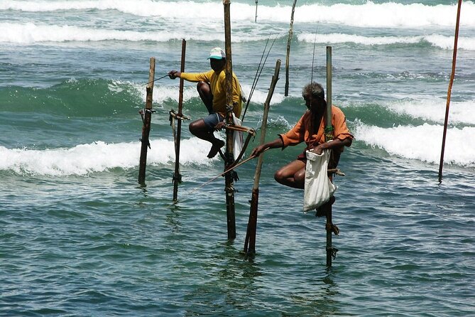 1 Day Private Tour Itinerary for Bentota, Hikkaduwa and Galle - Stilt fishing at sunset