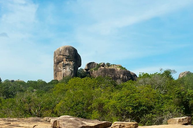 1 Day tour to Yala National Park or Udawalawe National Park - Booking Timing and Practical Details