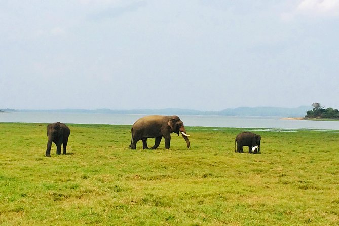 10 Day Explore Sri Lanka - Day Four: Dambulla Caves and Kandy After Dark