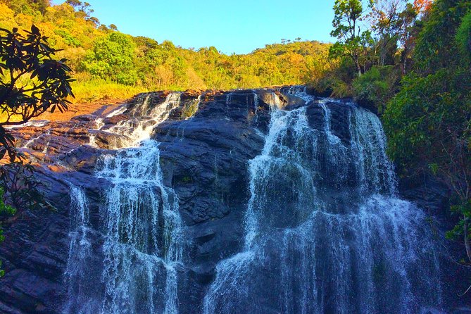 10 Day Explore Sri Lanka - Day Five: Giant Bamboo, Tea Tasting, and a Colonial Post Office