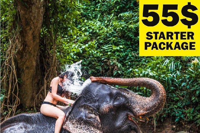 10-Day Sri Lanka Escape – Culture, Wildlife & 3 stars Hotels - Key details that shape the trip