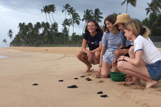 10-Day Sri Lanka Escape – Culture, Wildlife & 3 stars Hotels - Yala National Park and the road to Mirissa