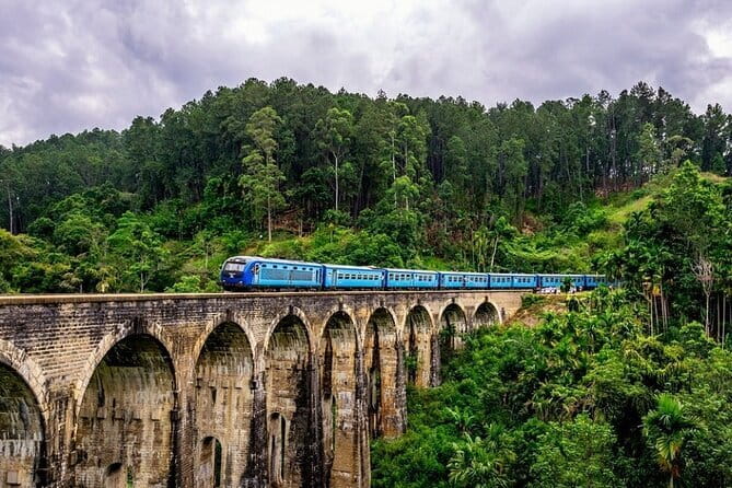 10 Days/ 9 Nights - Heritage Wildlife and Waves in Sri Lanka - Days 2 and 3: Rock temples, elephants, and ancient capitals