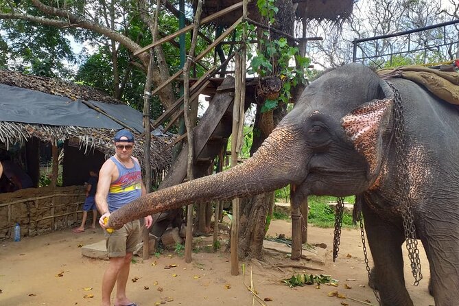 12 Days Sri Lanka Island Adventure and Wild Tour - Kandy: temple, gardens, and a cultural evening