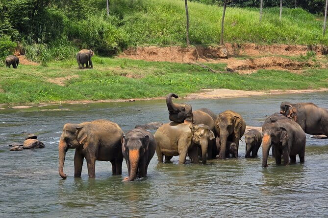 12 Days Tour Grand Discovery of Sri Lanka - Polonnaruwa and Minneriya reveal royal ruins and elephants
