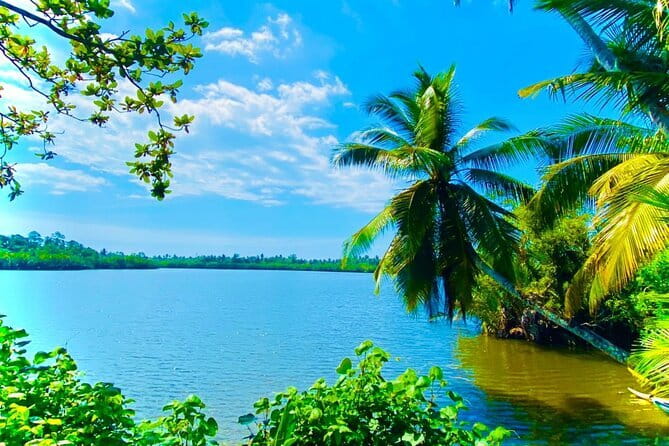 14 Days/ 13 Nights -Sri Lanka Tour on Culture, Wildlife & Beaches - Ancient temples and elephants on the first inland days