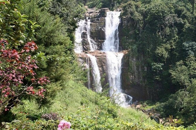 2 Day Tour of Yala & Ella with Hill Country Scenic Train Ride - All Inclusive - What the $340 price includes