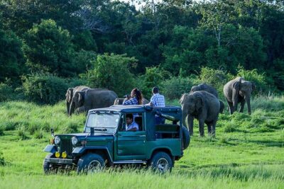 2 Days Tour of Double Safari (Yala & Udawalawe) – All Inclusive