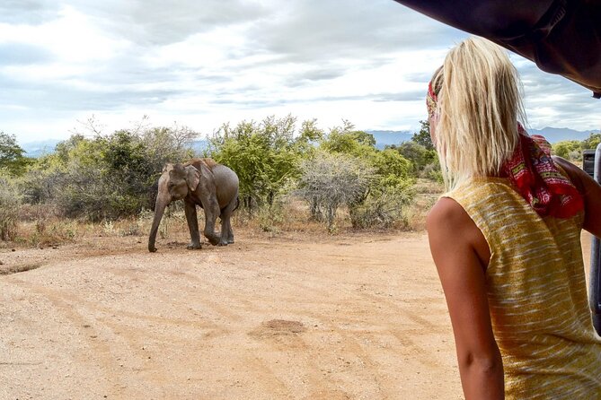 2 Days Tour of Double Safari (Yala & Udawalawe) - All Inclusive - Meals, rooms, and the meaning of all inclusive