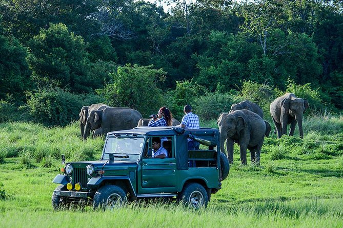 2 Days Tour of Double Safari (Yala & Udawalawe) - All Inclusive - Yala National Park: four hours in Sri Lanka’s most famous park
