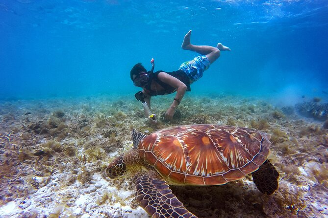 2 hours Private Snorkeling tour in Unawatuna - Key points about the Unawatuna snorkeling trip