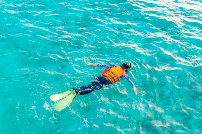 2 hours Private Snorkeling tour in Unawatuna - The possible shipwreck visit depends on the sea