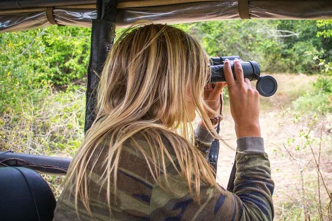 2 Nights All Inclusive Treehouse Safari in Yala with transfers - Is $800 a fair price?