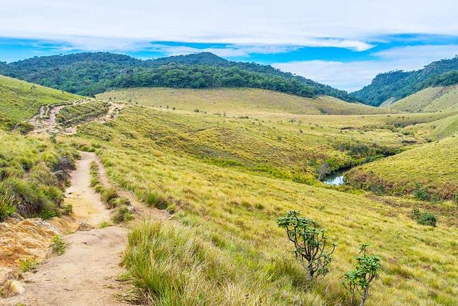 3 Days Nature and Chill Tour of Ella, Nuwara Eliya and Haputale - What the private format adds
