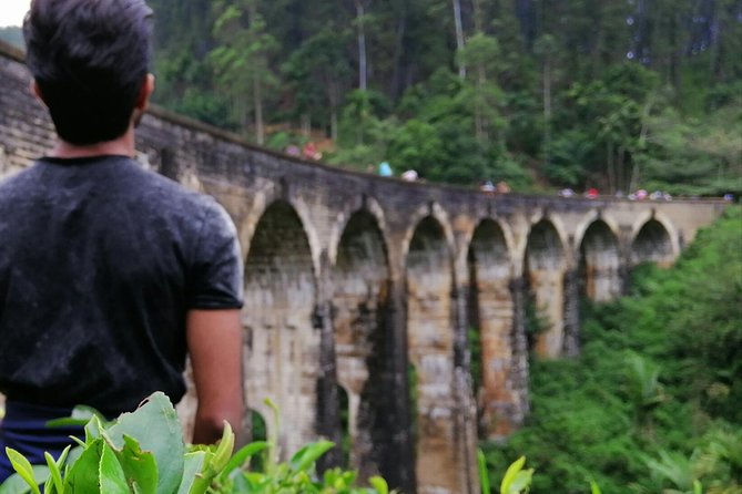3 Days Nature and Chill Tour of Ella, Nuwara Eliya and Haputale - Should you book the 3-day Ella and hill-country tour?