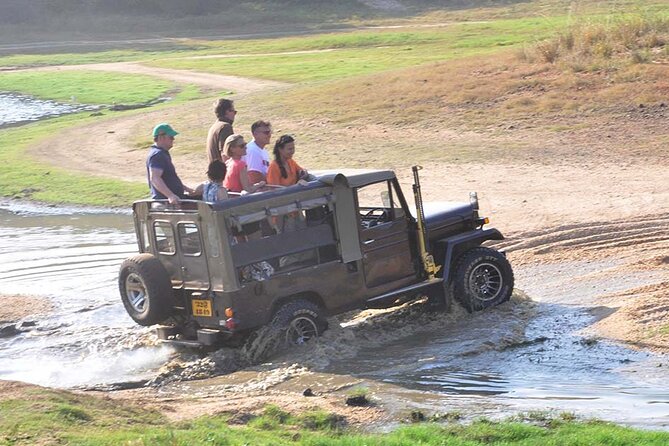 3 Days Private Tour of Yala Safari/ Ella/ Kandy - All Inclusive - Practical advice before you book