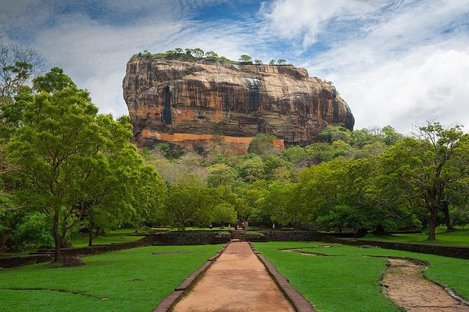 3 Days Tour to Kandy, Nuwara Eliya & Sigiriya - Seeing How Ceylon Tea Is Made