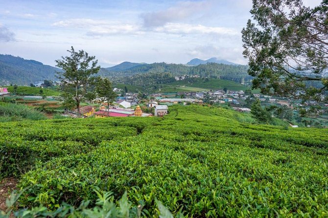 3 Days Tour to Kandy, Nuwara Eliya & Sigiriya - Village Life at Sigiriya Craft Village