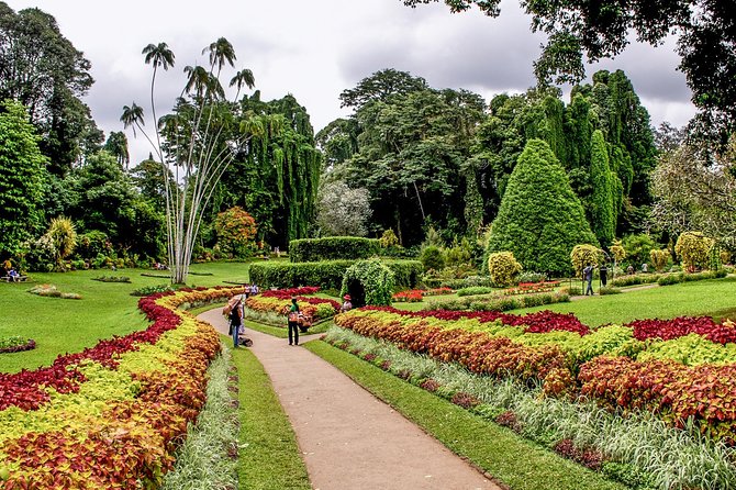 3 Days Tour to Kandy, Nuwara Eliya & Sigiriya - What the $400 Price Really Buys
