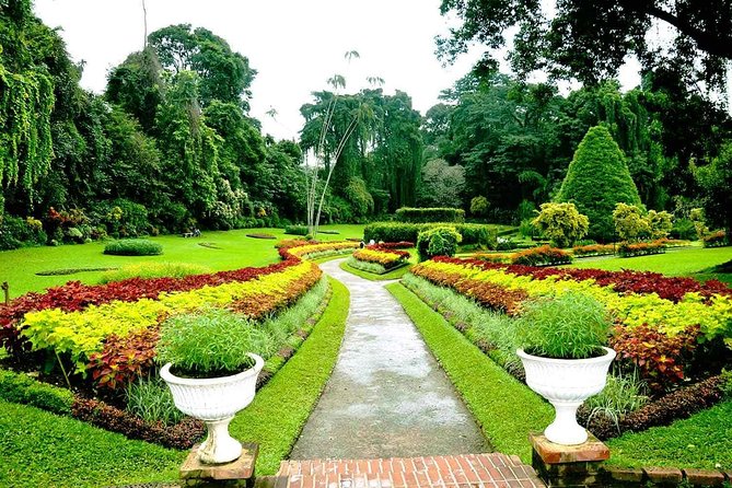 3 Days Tour to Kandy Nuwara Eliya & Sigiriya from Colombo - Dambulla Cave Temple and the Sigiriya Museum