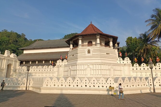 4 Days Amaizing Classic Mini Tour Sri Lanka - Day 2: Dambulla and the climb to Sigiriya