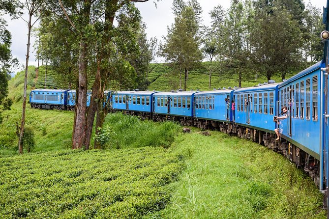 4 Days Tour to Kandy, Sigiriya & Nuwara Eliya - Day one: spice gardens, gems and Kandy’s sacred temple