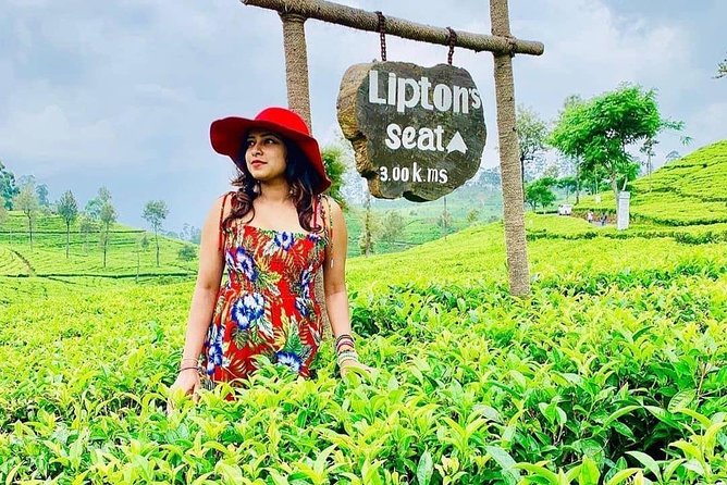 5 DAYS BUDGET TOUR package in Sri Lanka - Day two: Ambewela and the cool country near Nuwara Eliya