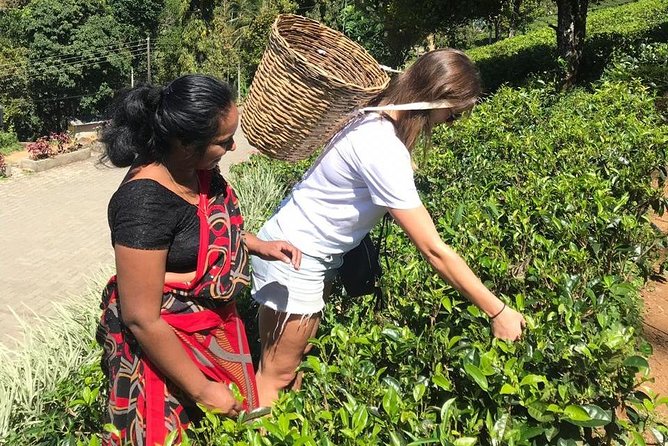 5 Days Tour in Sri Lanka (Hotels with Breakfast & Luxury Car) - Day 4: From Mirissa’s palms to Galle’s stone walls