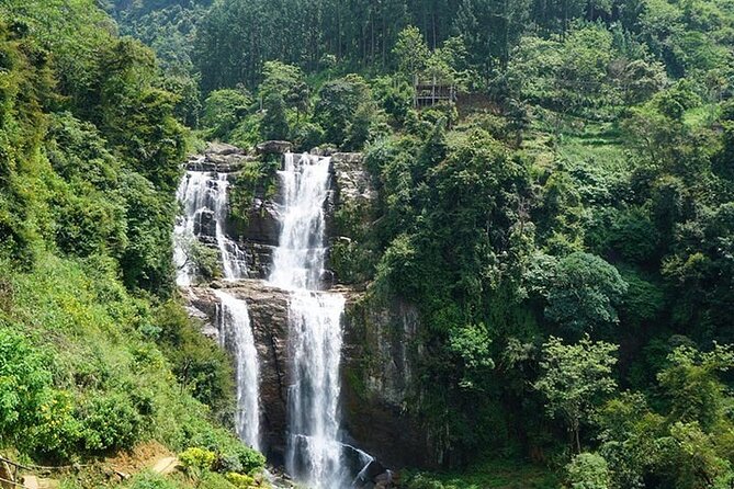 6 Days Tour of Sri Lanka - Day 5: Ella’s famous bridge, waterfalls, and a safari