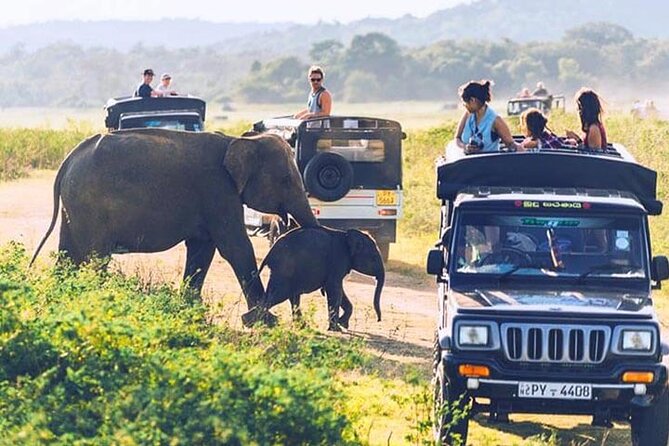 6 Days Tour of Sri Lanka - Day 3: Sacred Kandy and mountain views around Gampola