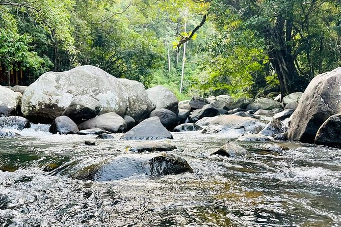 6Days Hill country Private Tour in Sri Lanka - What $590 buys you
