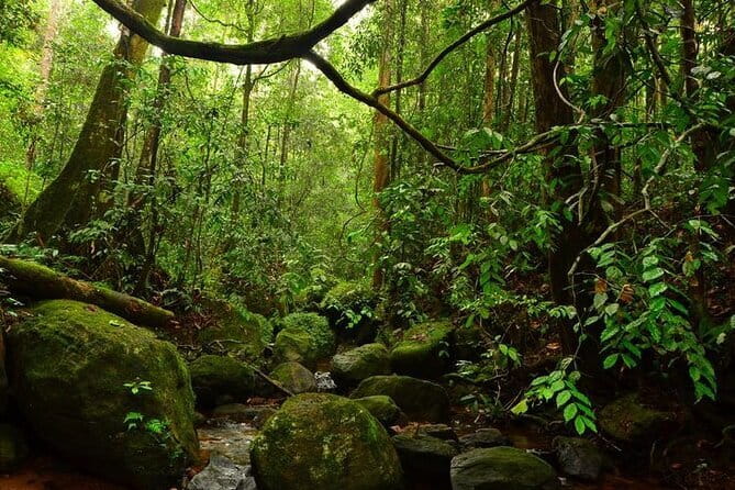 7 Days Private Guided Tour in Sri Lanka - Day 4: Ella’s bridges, falls, and a manageable hill walk