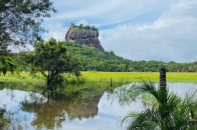 7 Days Sri Lanka Safari Tour - Mirissa shifts the trip from wildlife to the sea