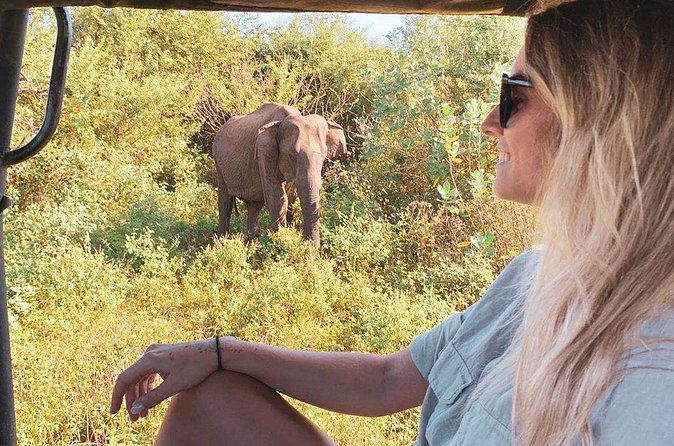 7 Days Tour in Sri Lanka Hotels with Breakfast and Luxury Car - Day 4: Tea Country, Ramboda Waterfall, and Ella’s Nine Arches