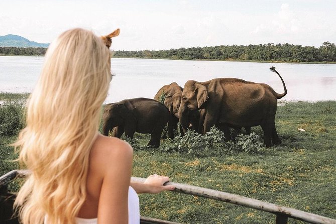 7 Nights Private Tour Of Sri Lanka - Day 4: Botanical gardens and the road into tea country