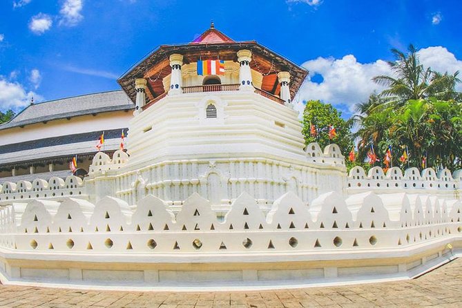 7 Nights Private Tour Of Sri Lanka - Day 6: From the hills to the southern coast