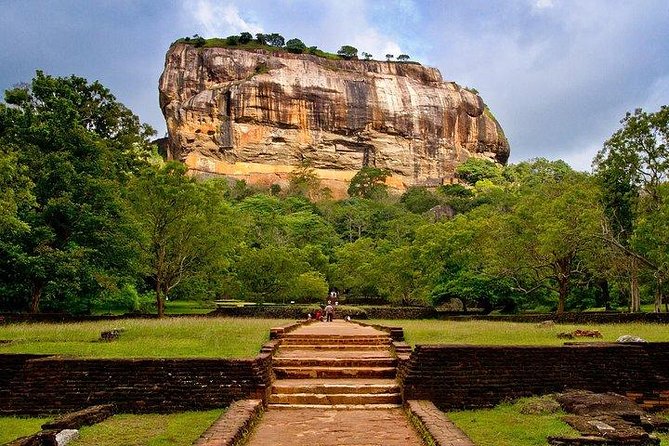 7 Nights Private Tour Of Sri Lanka - Day 7: Mangroves, sea turtles, and Colombo
