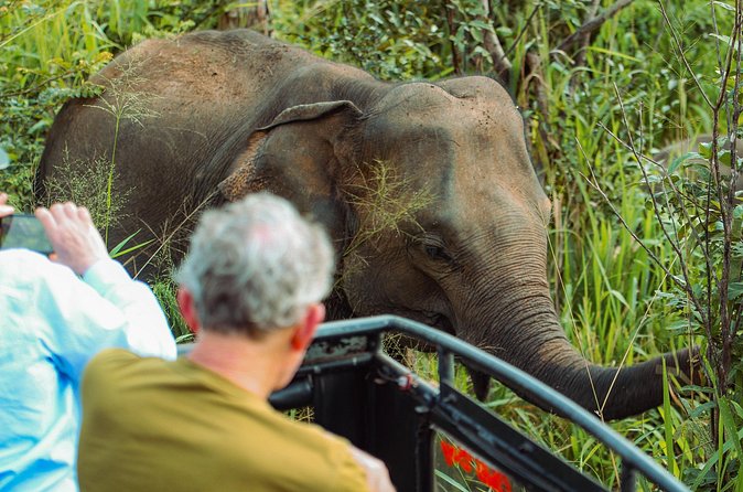 8 Day Private Sri Lanka Tour with Chauffeur - Yala Safari, Galle Fort, and Beruwala