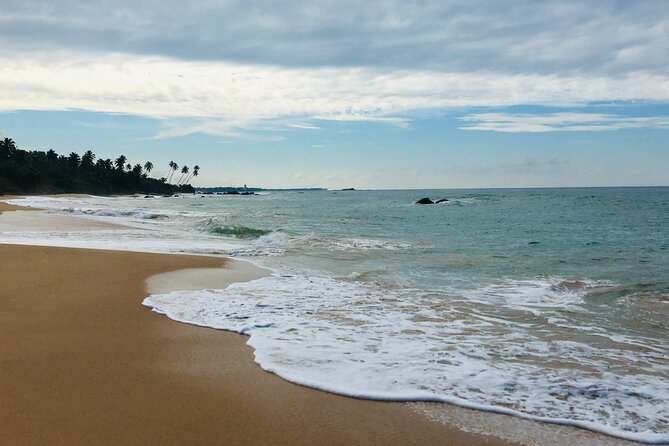 8 Day Private Sri Lanka Tour with Chauffeur - Turtle Conservation and Colombo’s Religious Sights