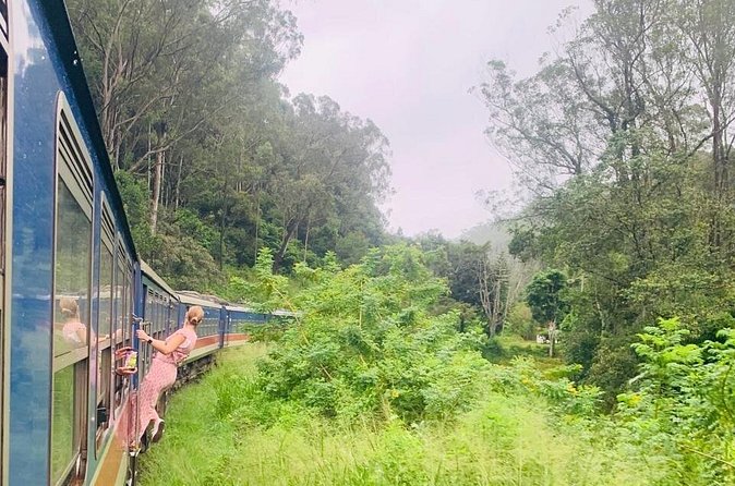 8 Day Private Sri Lanka Tour with Chauffeur - The Chauffeur Makes the Difference