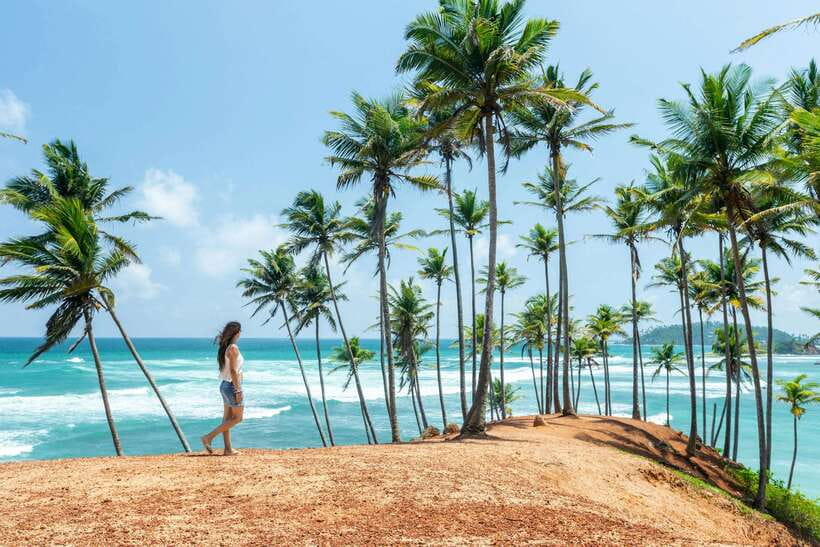 8-Day Sri Lanka Private Round Tour Hotels, Meals, Car, Guide - A strong eight-day route, with very little wasted time