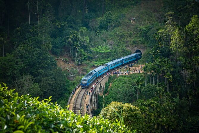 8 Days/ 7 Nights - Sri Lanka’s Culture Wildlife and Beaches - Day 4: Tea hills, waterfalls, and the ride into Ella
