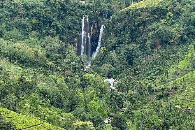 8 Days and 7 Nights Sri Lanka Tour - Day 7: Whale watching and Mirissa views